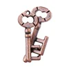 Key Lock Puzzles IQ Brain Teaser Quebra Cabeça Rompecabezas Metal Juegos De Ingenio Intellectual Toy For Adults Kids 5