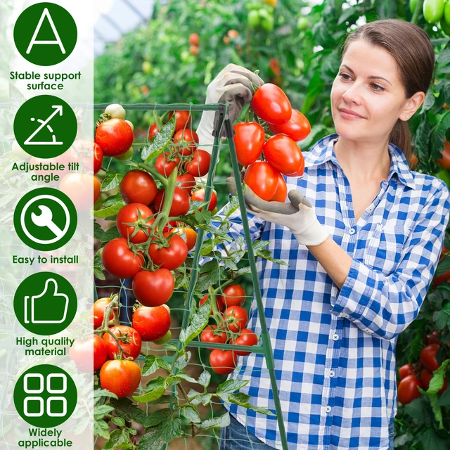 Tomato Plant Support 48