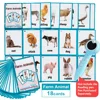 Kids Montessori Learning English Words Card Pocket Flash Cards Early Educational Toys For Children Classroom Supplies Gift 1