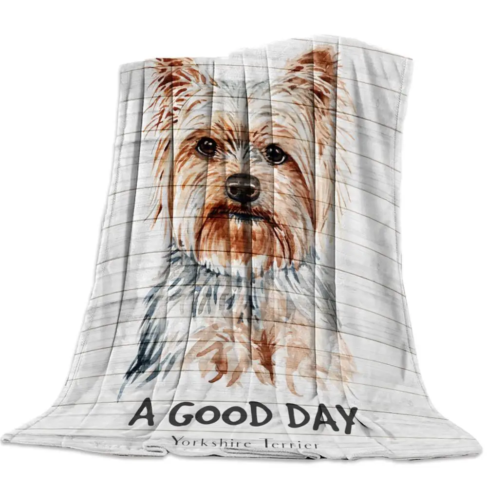 ŷ �� Ǯ ������ ���� ���, ���� ����Ʈ ������ �淮 �ֿ� ���� �� ���� ���� ���� ���� ���, ħ�� ���Ŀ�