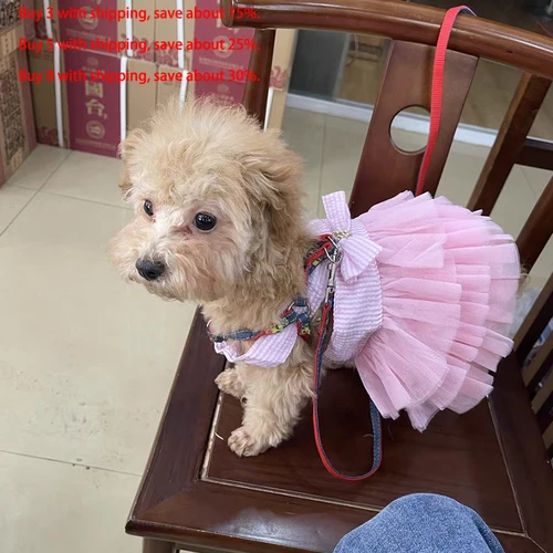 강아지 고양이 레이스 스커트 드레스, 치와와 스트라이프 스커트, 애완 동물 의류, 귀여운 고양이 공주 의류, 개 액세서리, 여름 4