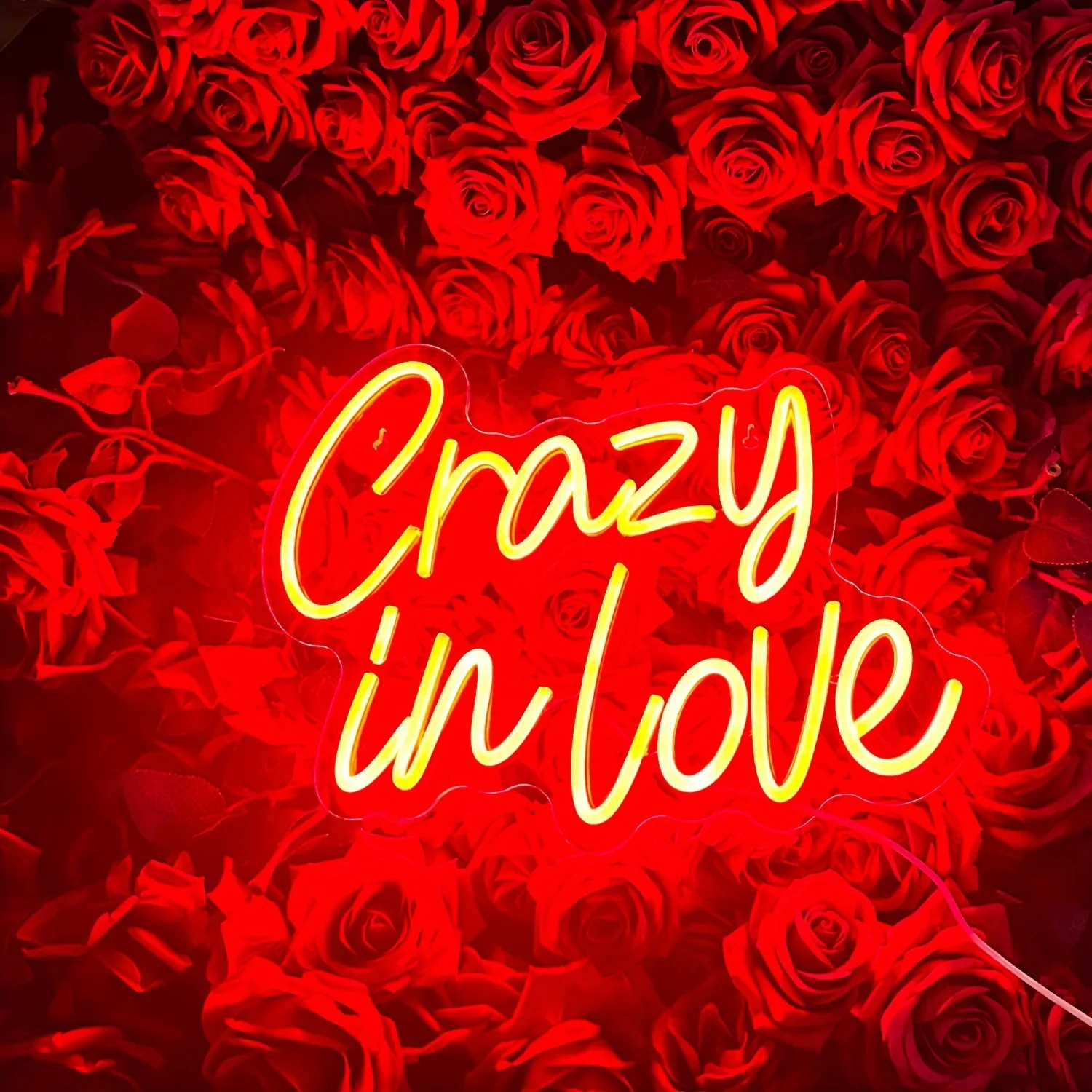 

Crazy In Love LED Neon Sign, Pink Neon Light, For Wedding Bachelorette Party Engagement Party Marry Birthday Gift