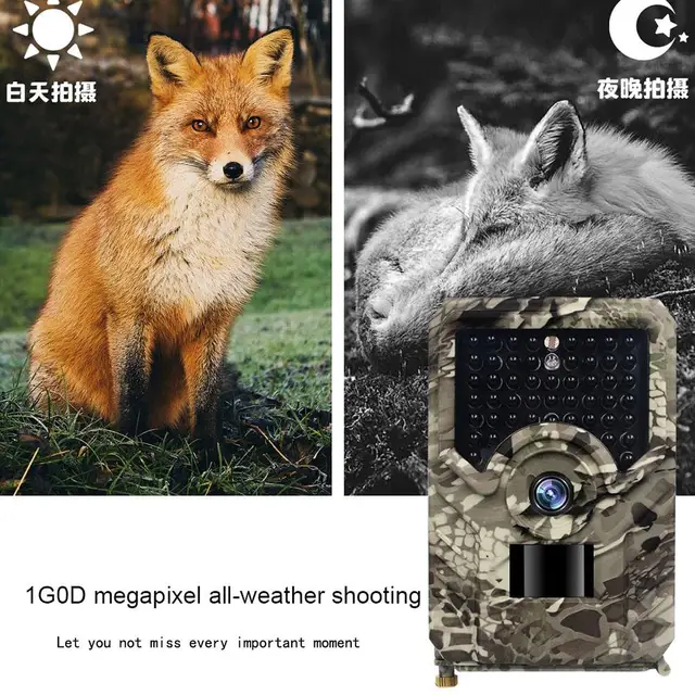 PR200 PRO Infrared Hunting Camera 49PCS 940nm Ir Led Tracking Camera Ip54 Waterproof Wildlife Night Vision Photo Trap Scouting 6