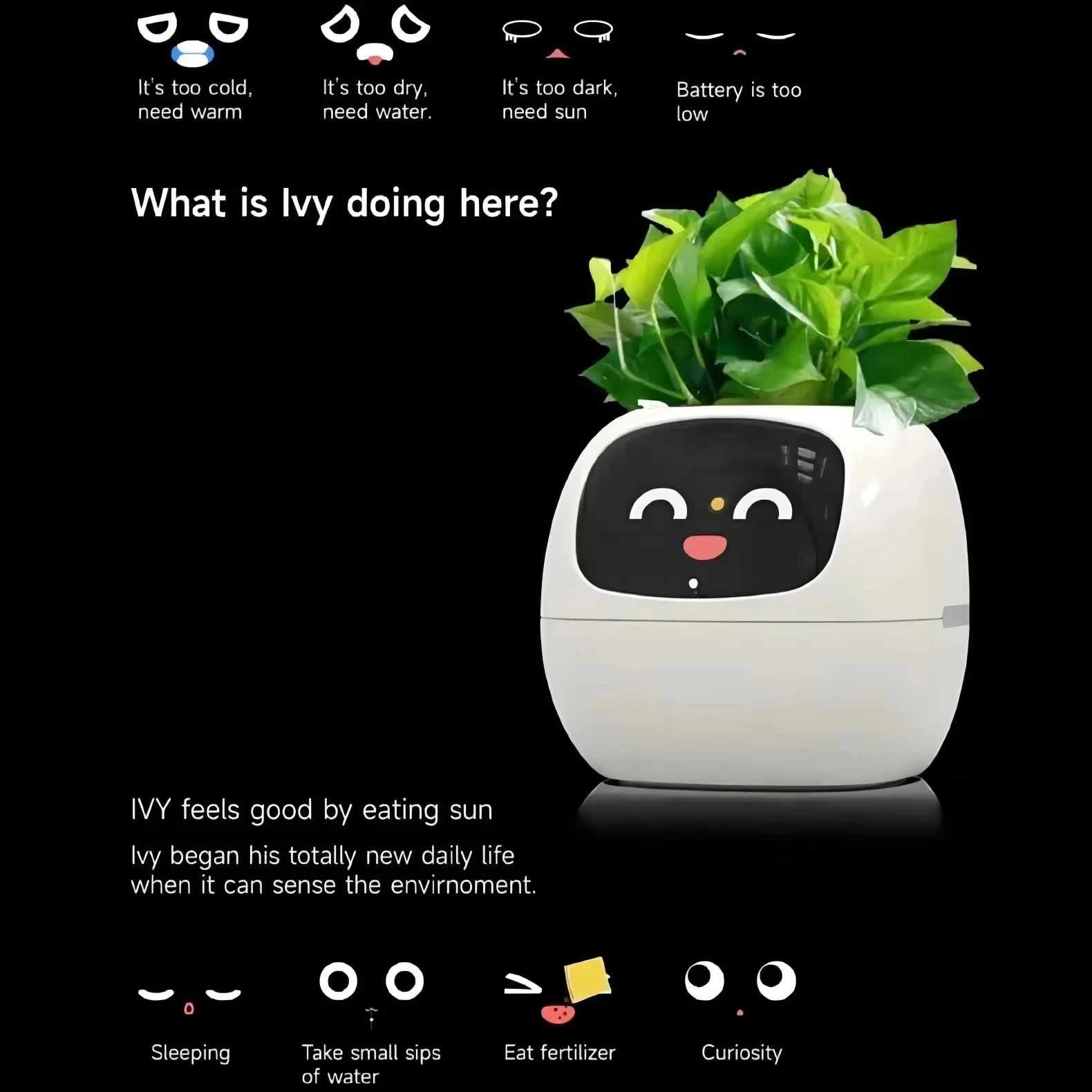 Ivy Smart Planter Endless Fun Over 49 Rich Expressions 7 Smart Sensors And AI Chips Make Raising Plants Easy And Fun Gifts