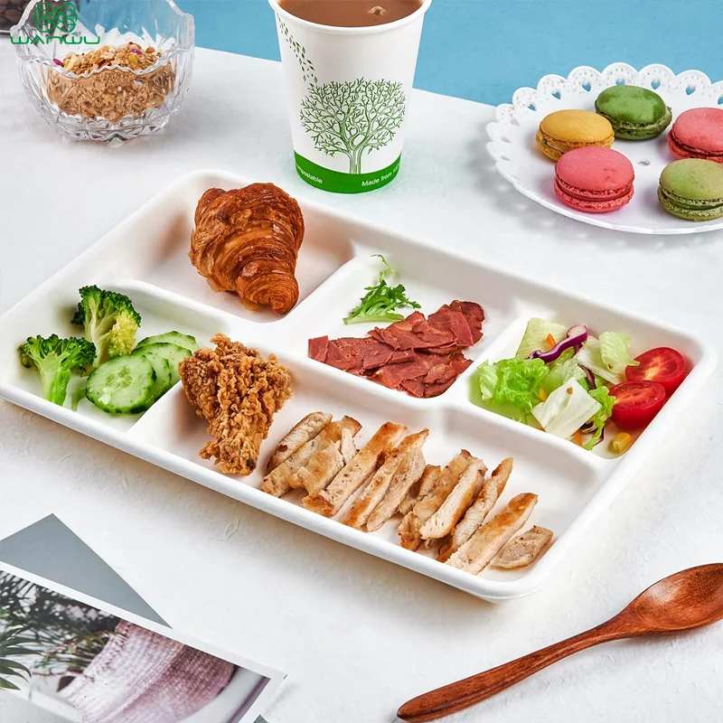 5 grid plates,25 disposable paper plates, heavy duty biodegradable sugarcane trays, eco-friendly school lunch trays