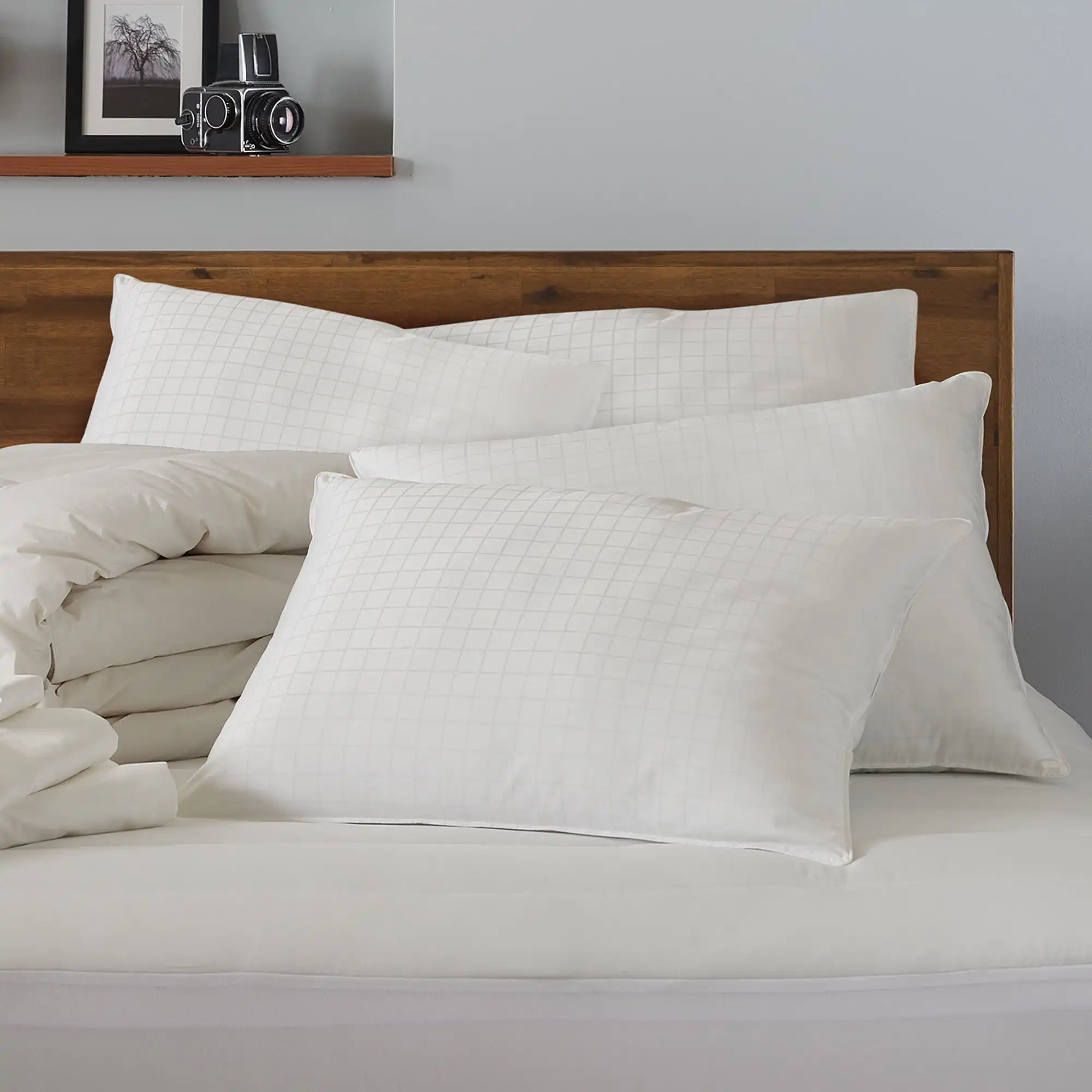 Ella Jayne 100% Cotton Dobby-Box Shell Firm Back/Side Sleeper Down  Alternative Pillow, Set of King AliExpress
