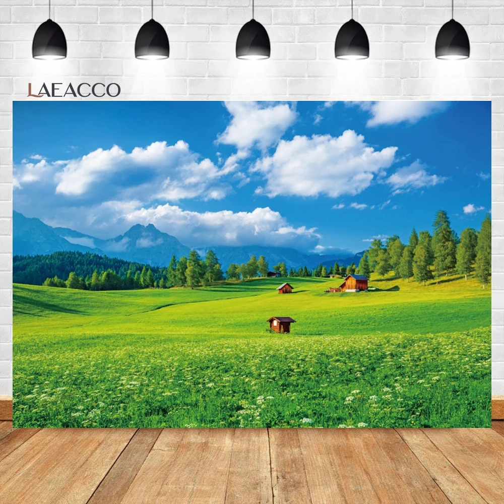 Laeacco ö    , ڿ ,  , ȶ, Ȩ  Ƽ ʻȭ 
