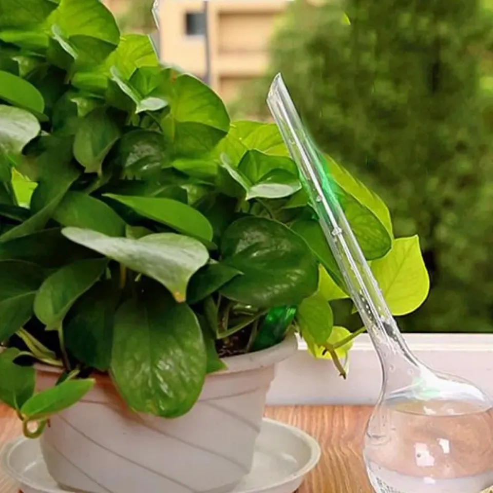 5pcs Plant Water Feeder Automatic Plastic Balls Garden Watering Device Self Watering Drip Irrigation plant waterer plants irrigation kits drip irrigation kits garden irrigation kits self watering drippers drip irrigation tool