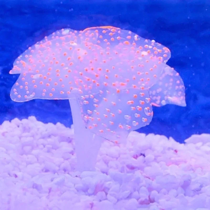 1 Pcs Colorful Silicone Artificial Fish Tank Aquarium Ornament Water Decor Plant Coral Purple Aquarium Decorations