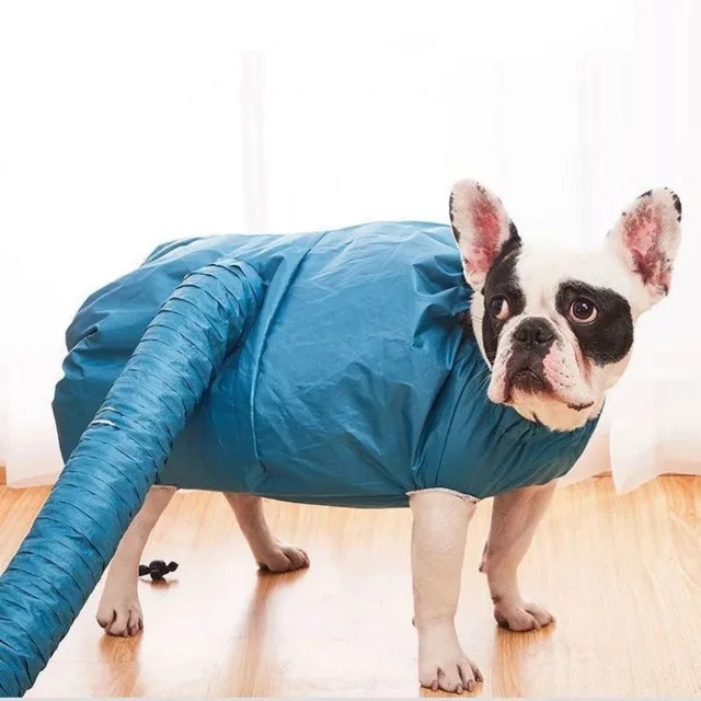 Portable Folding Dog Hair Dryer 3