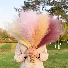 

1Pc 70cm Dried Flowers Artificial Pampas Grass Bouquet DIY Vase for Wedding Party Home Decoration Plant Simulation Flower Reed