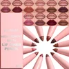 6PC Velvet Matte Lipstick Pen Nude Brown Lip Liner Pencil Kit Smooth Rose Red Pigment Waterproof Long Lasting Dye Cheek Lip Tint 1