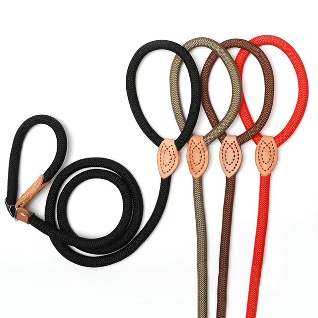 P Chain Dog Leash Slip Collar pet Walking Leads Nylon Dog Mountain Climbing Rope puppy pet Traction For small Medium Large Dogs 2