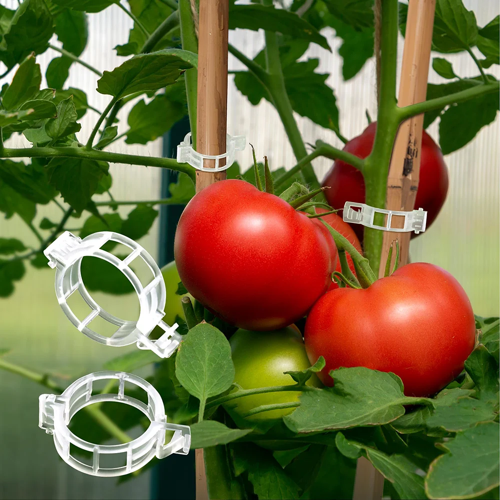 100 Clip Per Piante Riutilizzabili - Supporto Per Pomodori, Rampicanti E Ortaggi Da Giardino