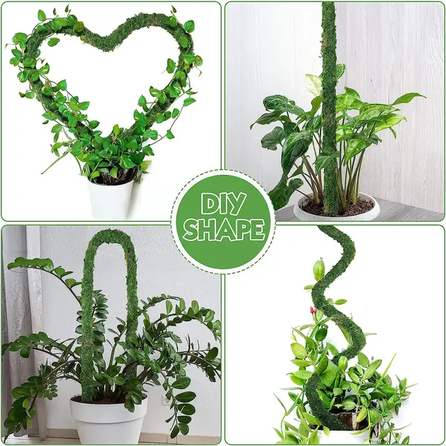 Moss Pólus A Növények Tartójának Hajlítható Kókuszültetõ Tartó Tét Diy Alakú Hegymászó Szőlõnövények Beltéri Cserepes Bonsai Szerszámok - Image 6