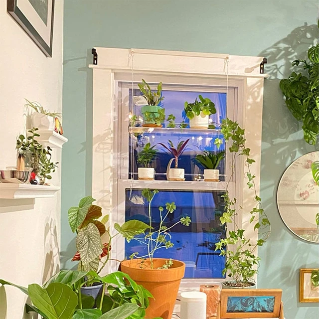 Scaffali per piante da finestra in acrilico trasparente a 2/3 strati  40*15cm organizzatore
