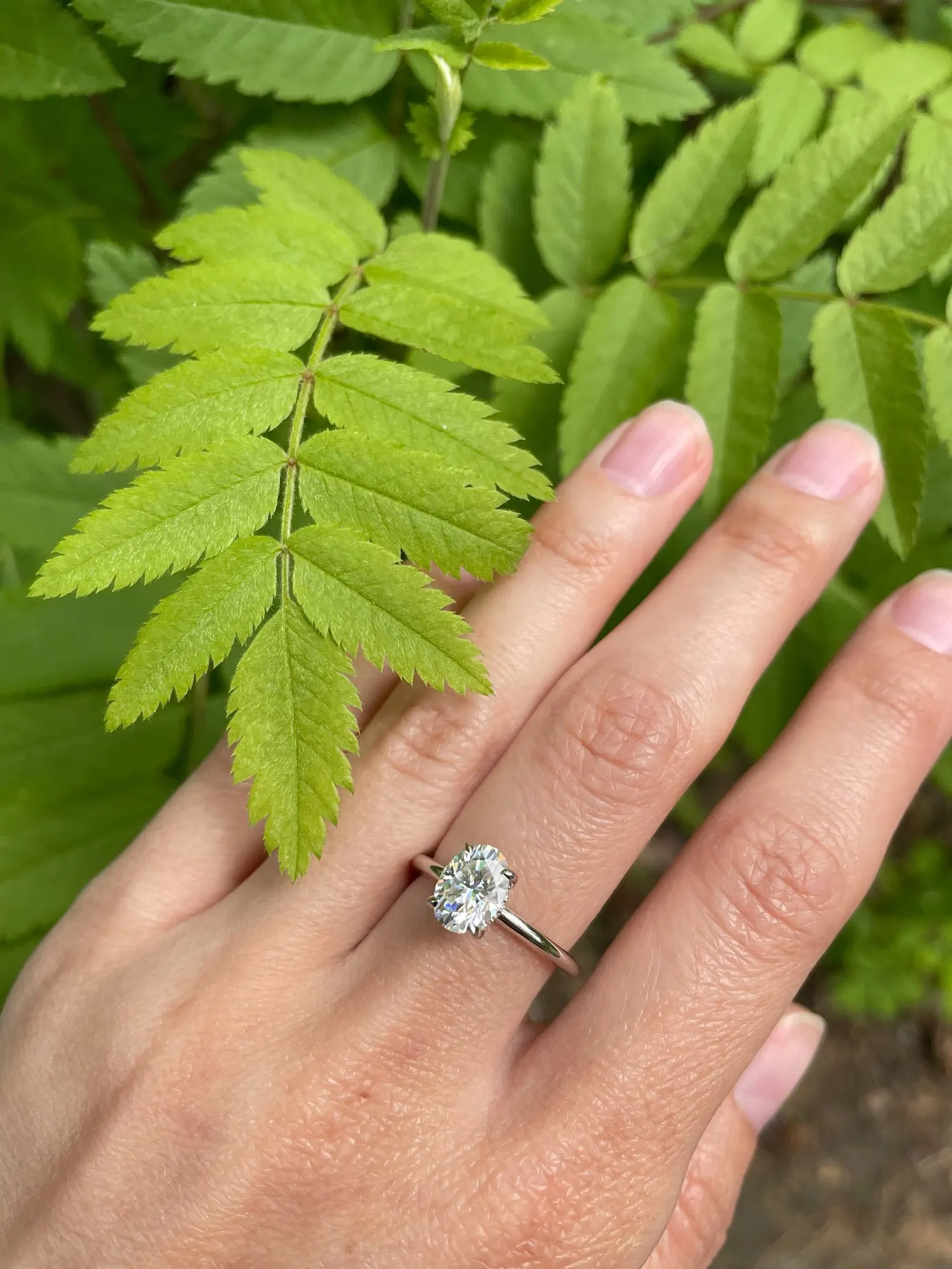 Sd3e2002e797245b9966a59a8a9039670L