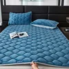 2024 new 230g high-gram encrypted thickened milk fleece mattress (bed pad) series autumn and winter 2