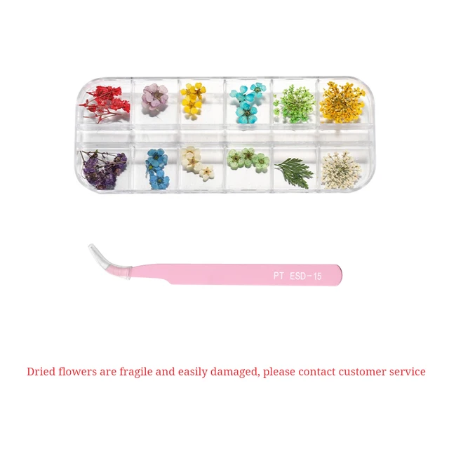 1Box Dried Flowers Dry Plants for Rsein Molds Fillings Epoxy Resin Pendant Tweezers Jewelry Making Craft DIY Nail Art Decoration SET 05