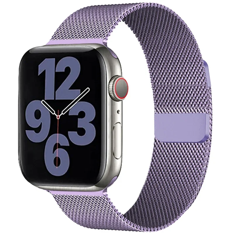 Luxurious Milanese Loop Metal Band