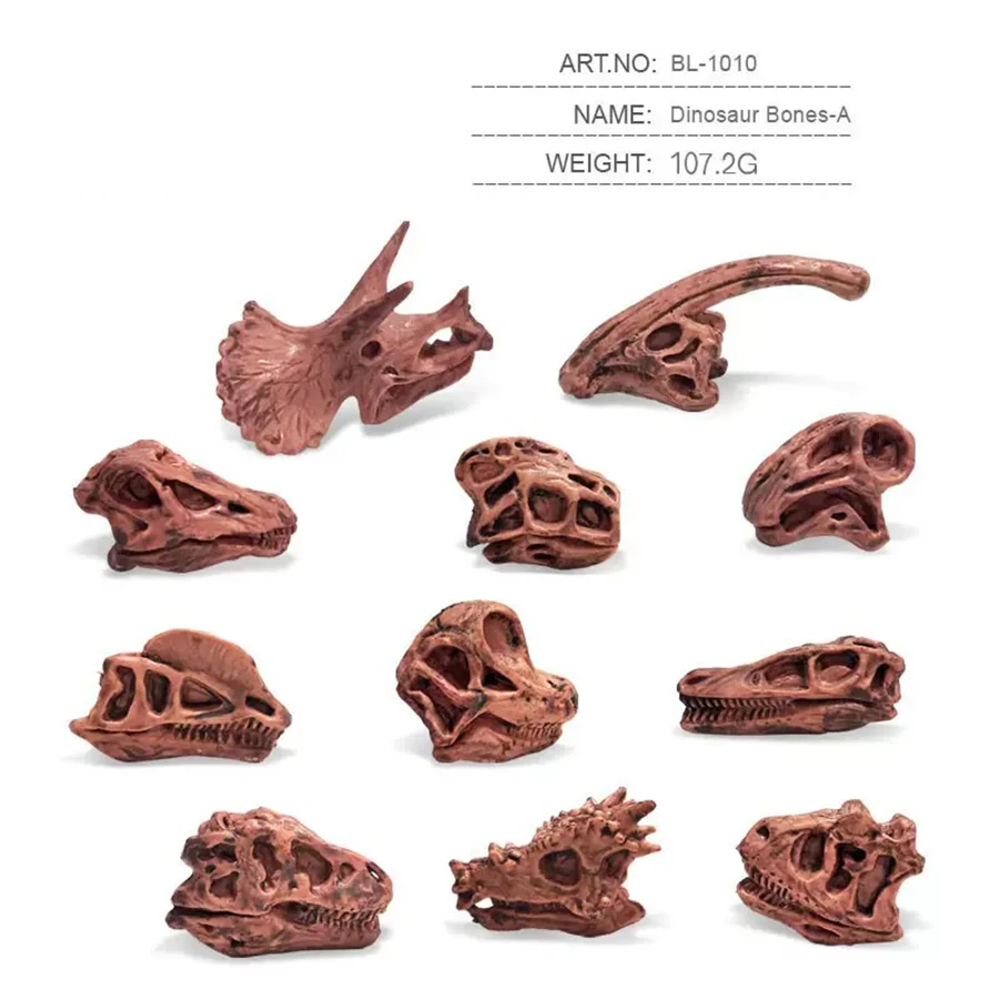 Figurina fossile di teschio di dinosauro carnotauro dipinta a mano