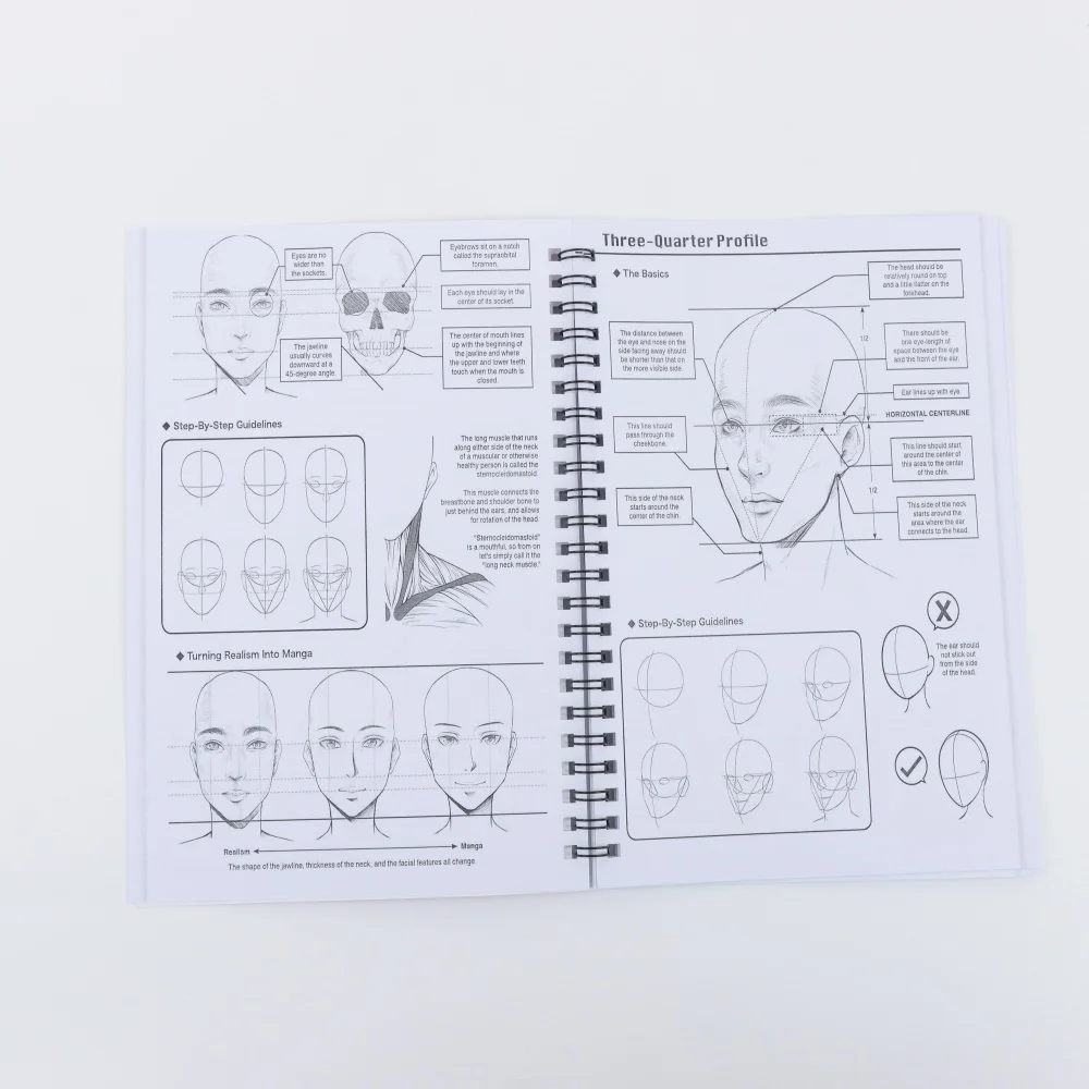 초보자를 위한 애니메이션 드로잉 튜토리얼북, 인체 구조 및 역학, 손으로 그린 복사, 저널 낙서, 꼭 가지고 있어야 할 것