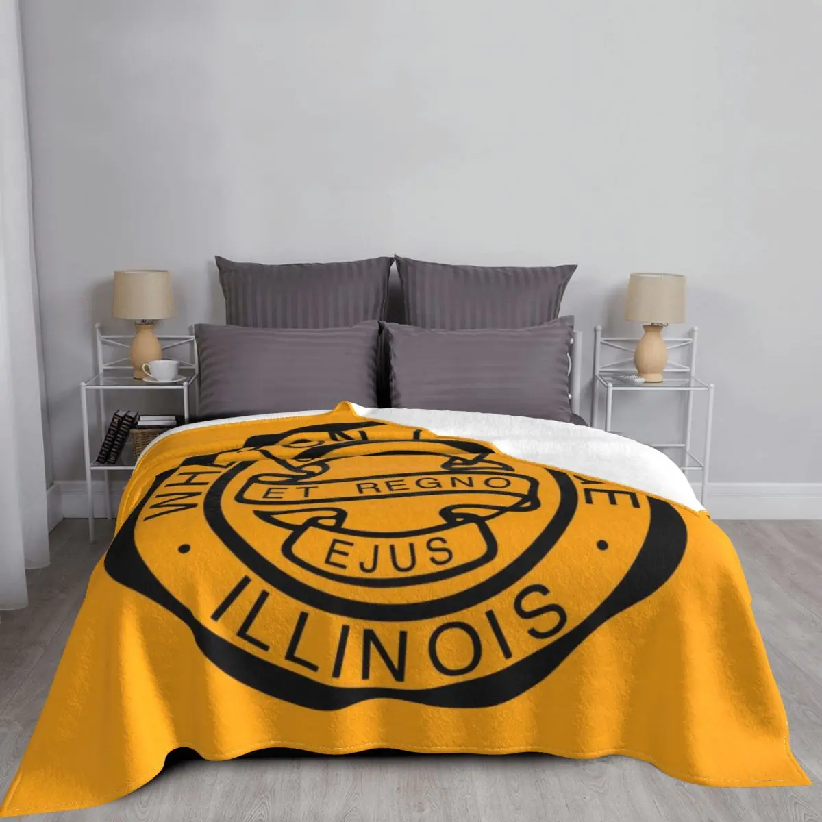 Wheaton College (�ϸ�����) ������ ���, ħ�� �ε巯�� ħ��, ������ ���� �̵� ���