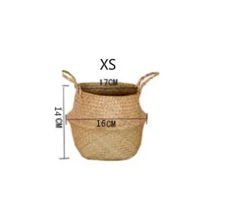 16CM XS