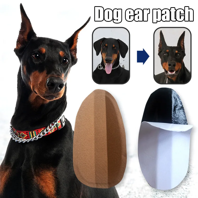 Dog Ear Stand Stickers Correction Ear Dogs Dog Care Products Dog