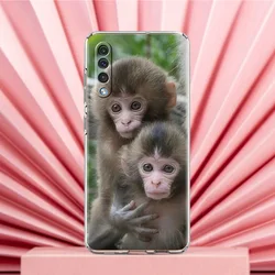 Cute Funny Monkey Phone Case Cover - Samsung A32 (B1)