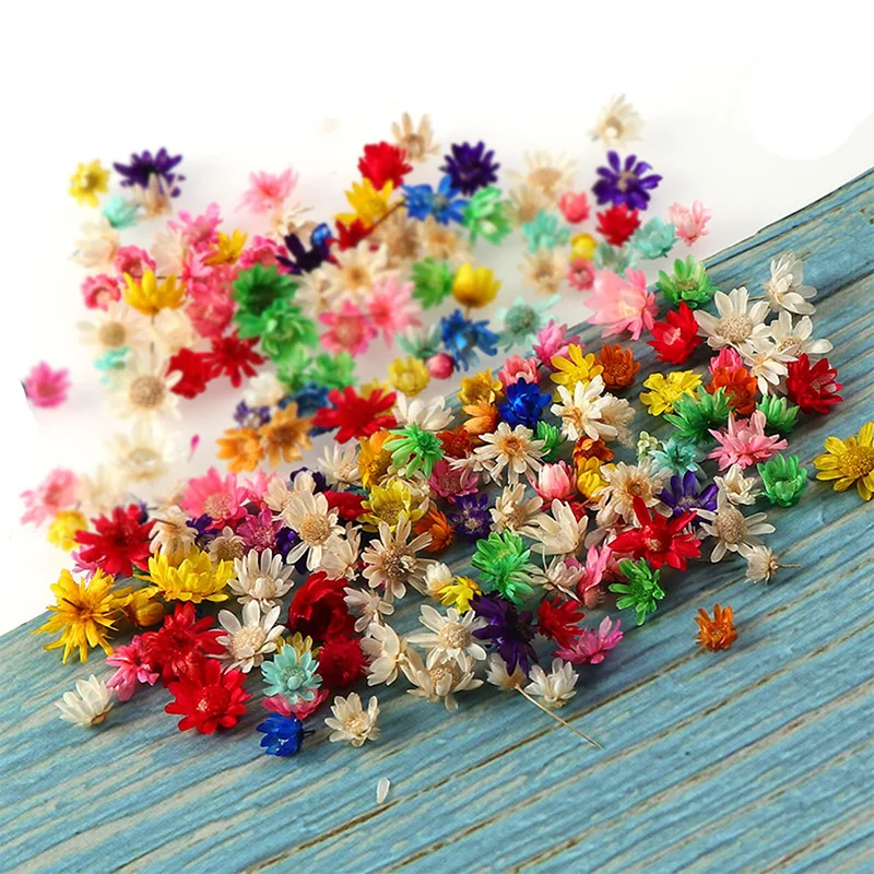 

100/200pcs 0.6-1cm Dried Flowers Head DIY Aromatherapy Epoxy Resin Candle Filling Scrapbooking Home Decoration Supplies