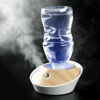 20mm 1.5-3W Ultrasonic Mist Maker Atomizer Transducer Atomizer Film Plate Accessories Microporous Atomizing Tablet 108-110KHz 6