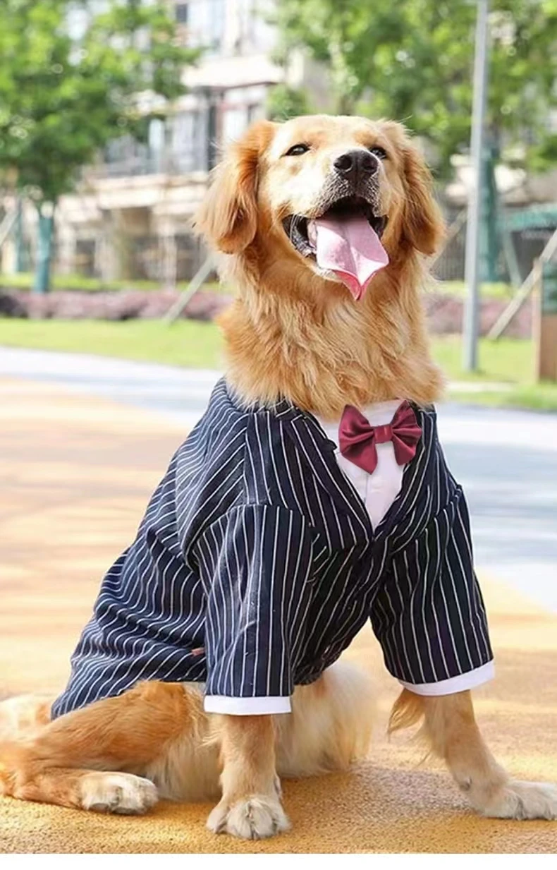 大型犬用ストライプタキシード,ビッグドッグスーツ,蝶ネクタイ