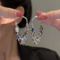 2024 New Senior Luxury Delicate Long Tassels Drop Earrings Fashion Versatile Exaggerate Metal Women Jewelry Girl's Earrings 1