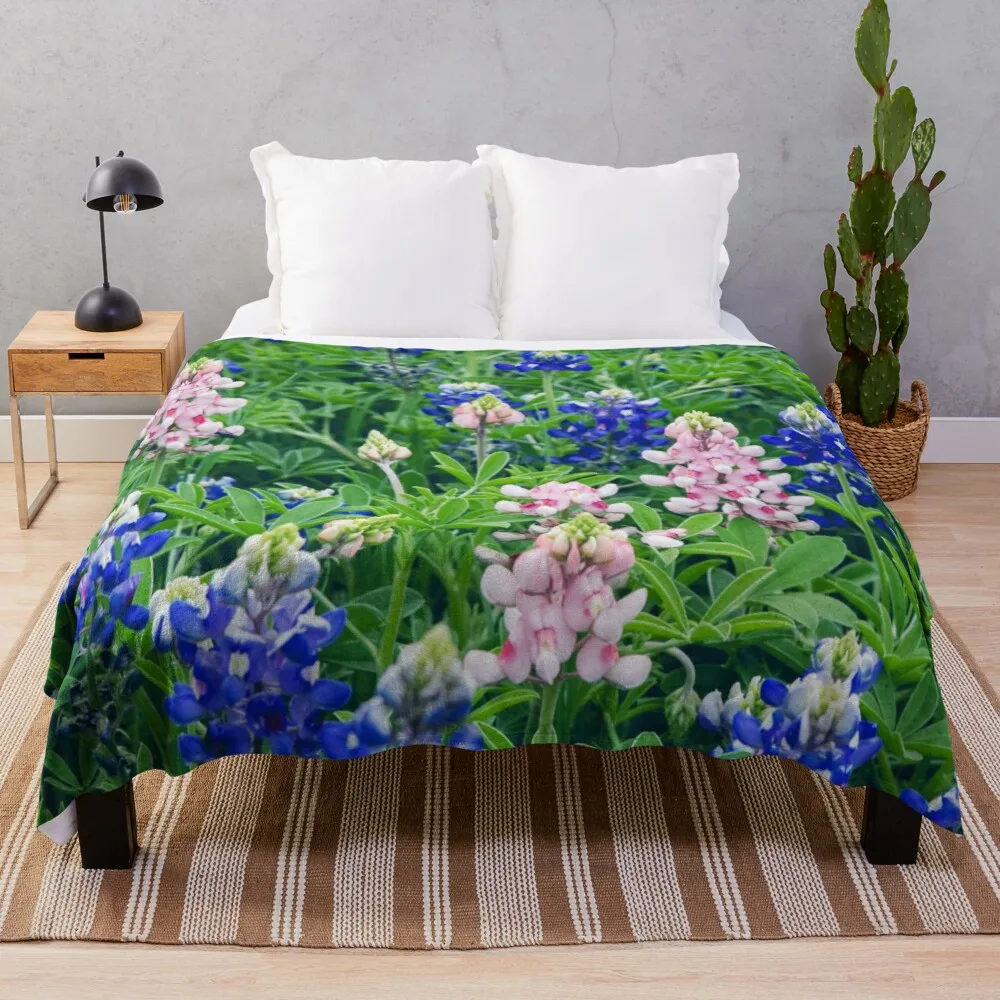 Bluebonnet �ö��� ���� ��� �Ƹ��ٿ� ����� �� ���� ħ�� ���� ŷ �� Ǯ ������ �ƴ��ϰ� �ε巴�� ������ ��� ����