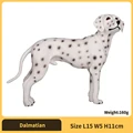 Dalmatian