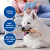 Large Rope Knot Toy for Pet Teeth Grinding Cleaning Cat Dog Boredom Relief Toys Pet Interactive Training Supplies 5