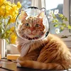 Cat Head Cover Portable Transparent Prevent Biting and Scratching Breathable Safety Travel Cat Carrier Bag Cats Pet Products 2