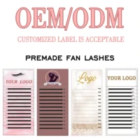 Custom 100 Trays Premade Fan Lashes, 120 Trays Ready Made Fans Eyelashes, 6 Trays Spikes Lashes Wholesale Lash Extensions 1