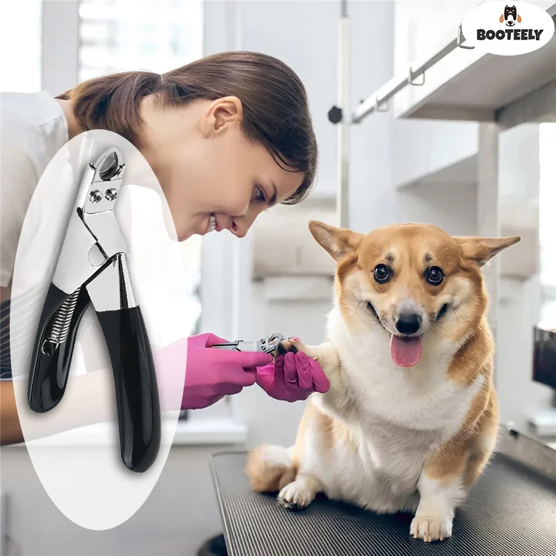 Pet nail clipper Dog cat nail clipper stainless steel pet toes cutter scissor grooming tool for small medium dogs cats guillotine nail clipper