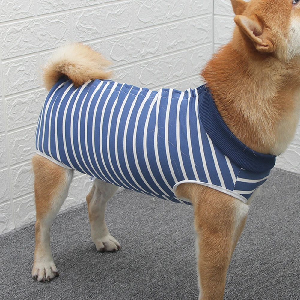 Why Do Dogs Lick Clothes