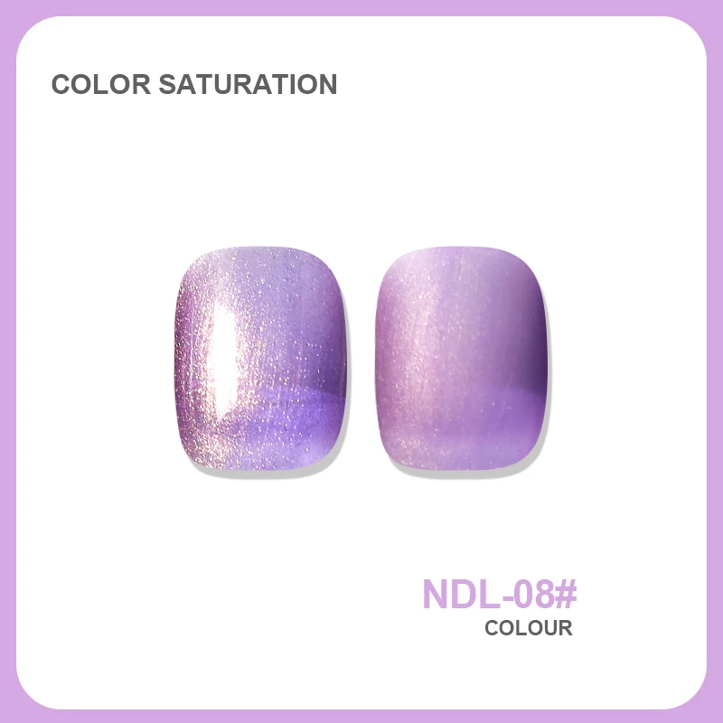NDL 8