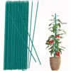 25pcs, Bamboo Plant Stakes, Plant Sticks Support, Floral Plant Support Wooden, Indoor Gardening Plant Supports 2