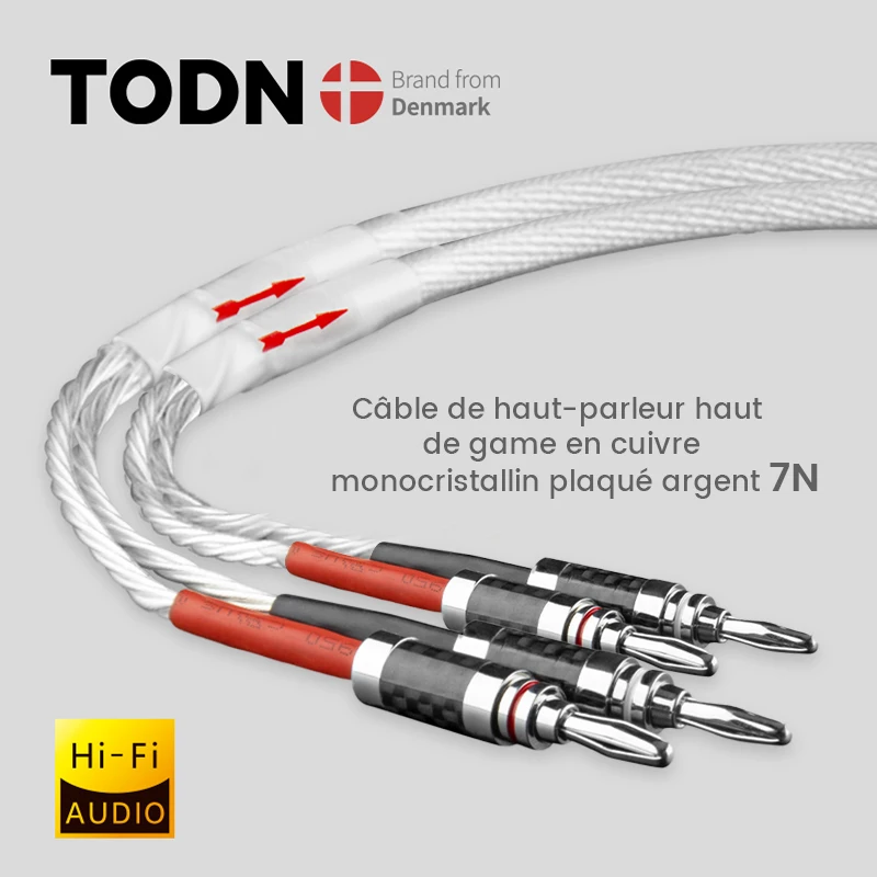 TODN One Pair HIFI Silver-plated Speaker Cable High-end 7N OCC Speaker Wire For Hi-fi Systems Y Plug Banana plug Speaker Cable