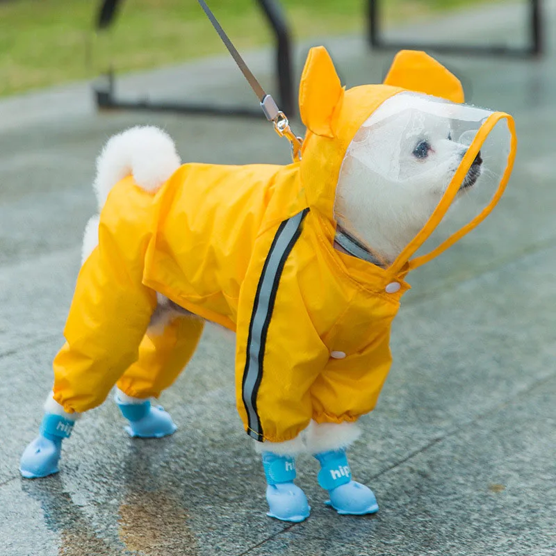 Yellow Bear
