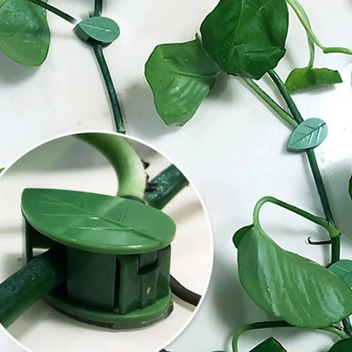 Self-Adhesive Plant Climbing Wall Fixture for Indoor Outdoor Use