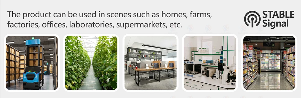Home e Garden