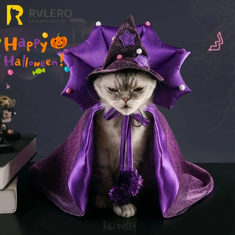 Starry Witch Pet Costume 2