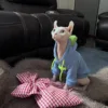 Fashion Blue Hoodie Sweater for Cat 2-legged Winter Coat for Sphynx Warm Sweatshirt for Kittens Soft Loungewear for Devon Rex 3
