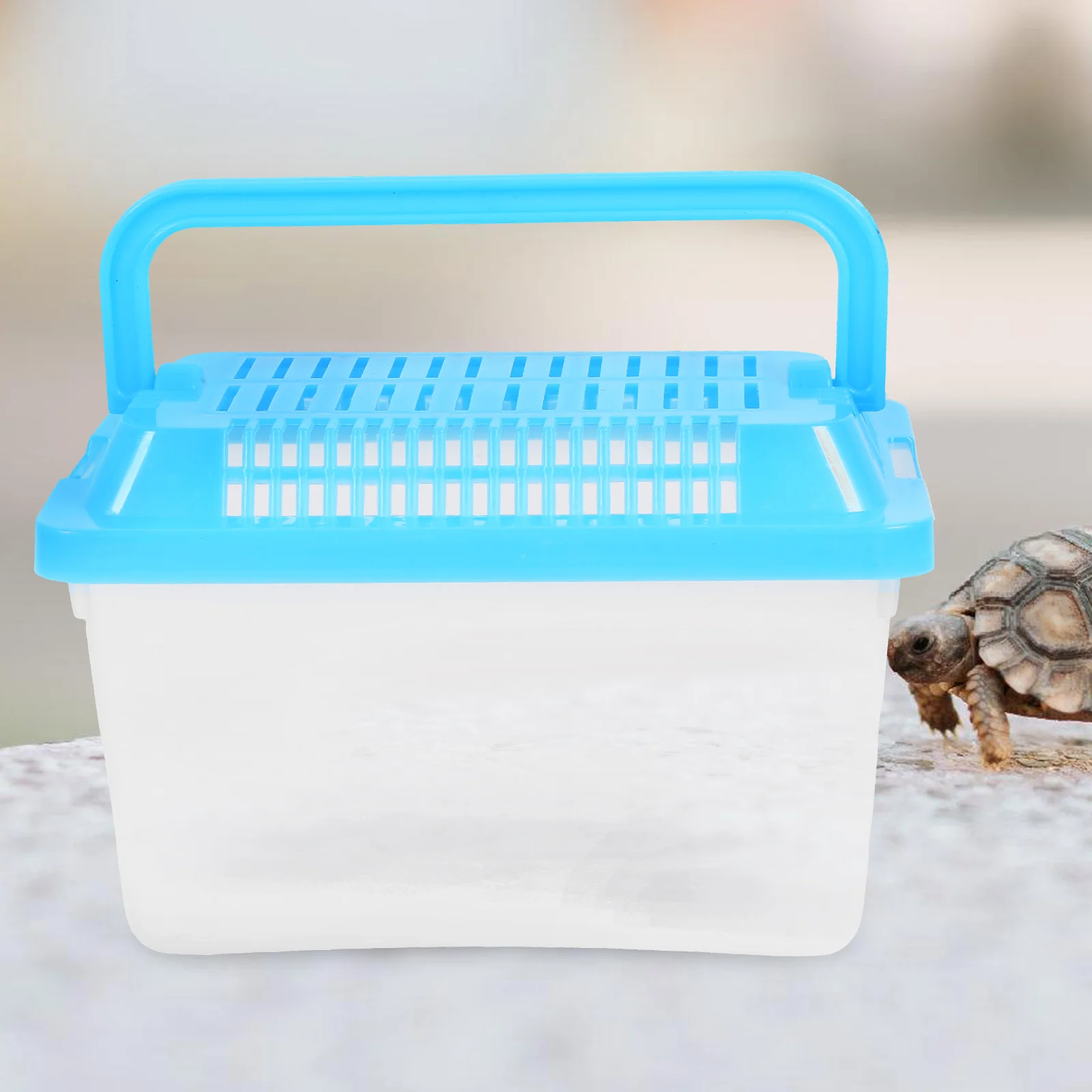 Plastic Turtle Fish Tank Handheld Accessories for Sea ​​turtle Reptile Terrarium Habitat Pet Frog